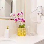 Apartmán Lambrina 2 *